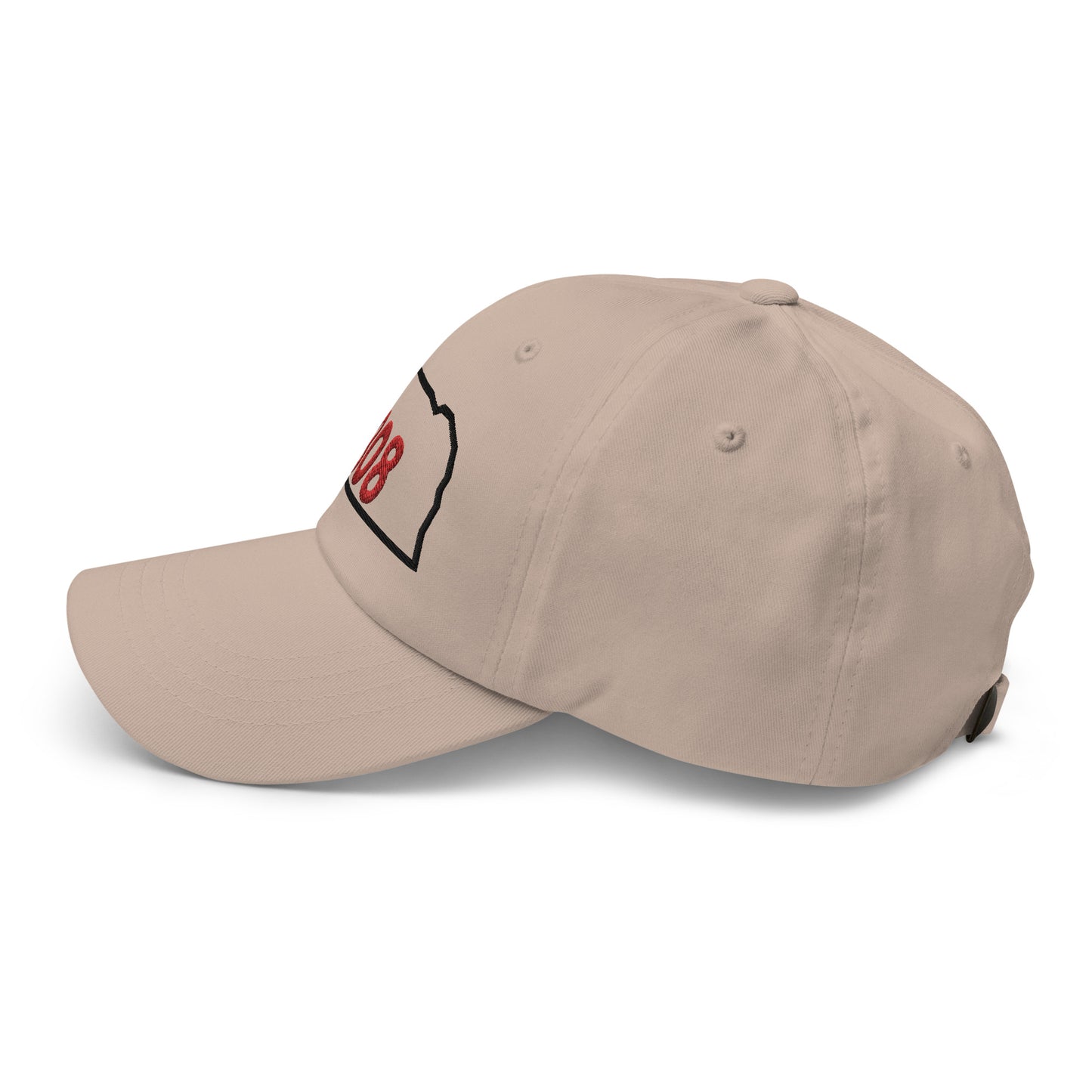 308 Dad Hat