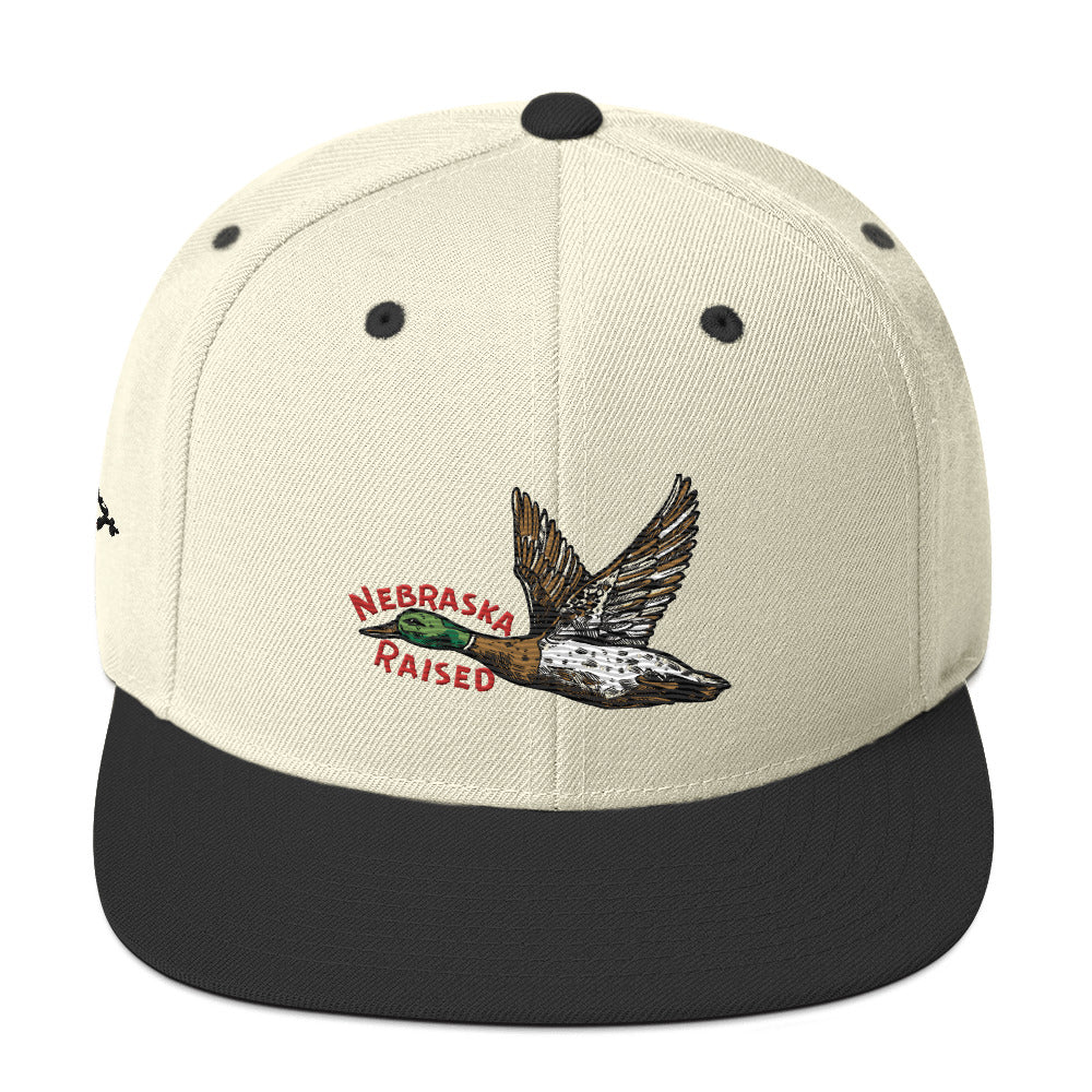 Nebraska Raised Retro Hat