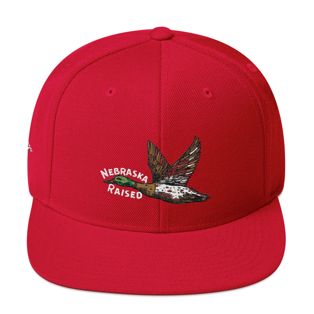 Nebraska Raised Retro Hat